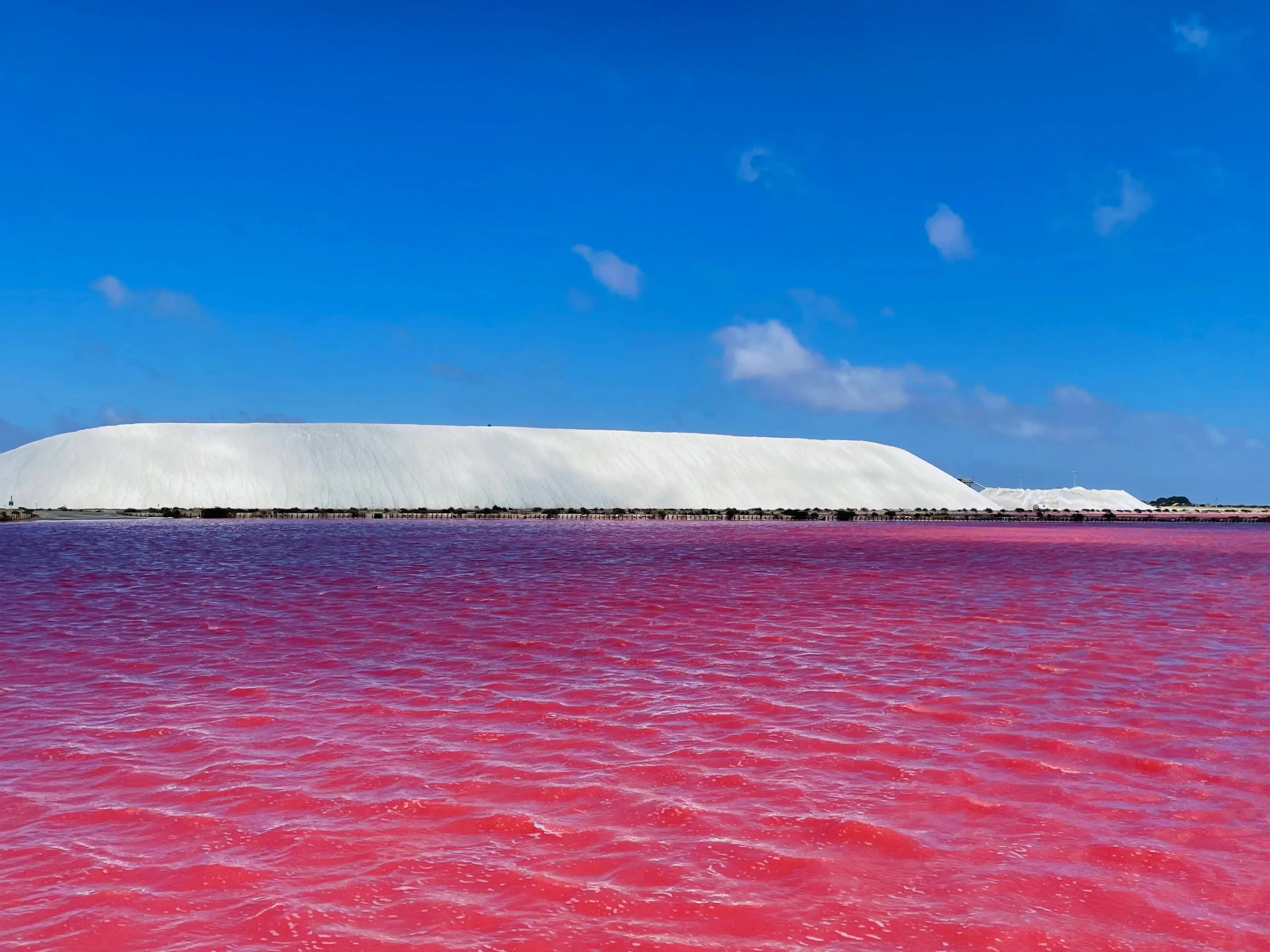 flapper team at toluca airport